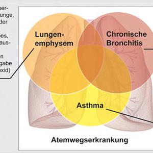 Allergic Bronchitis - Bronchitis Residence Remedy